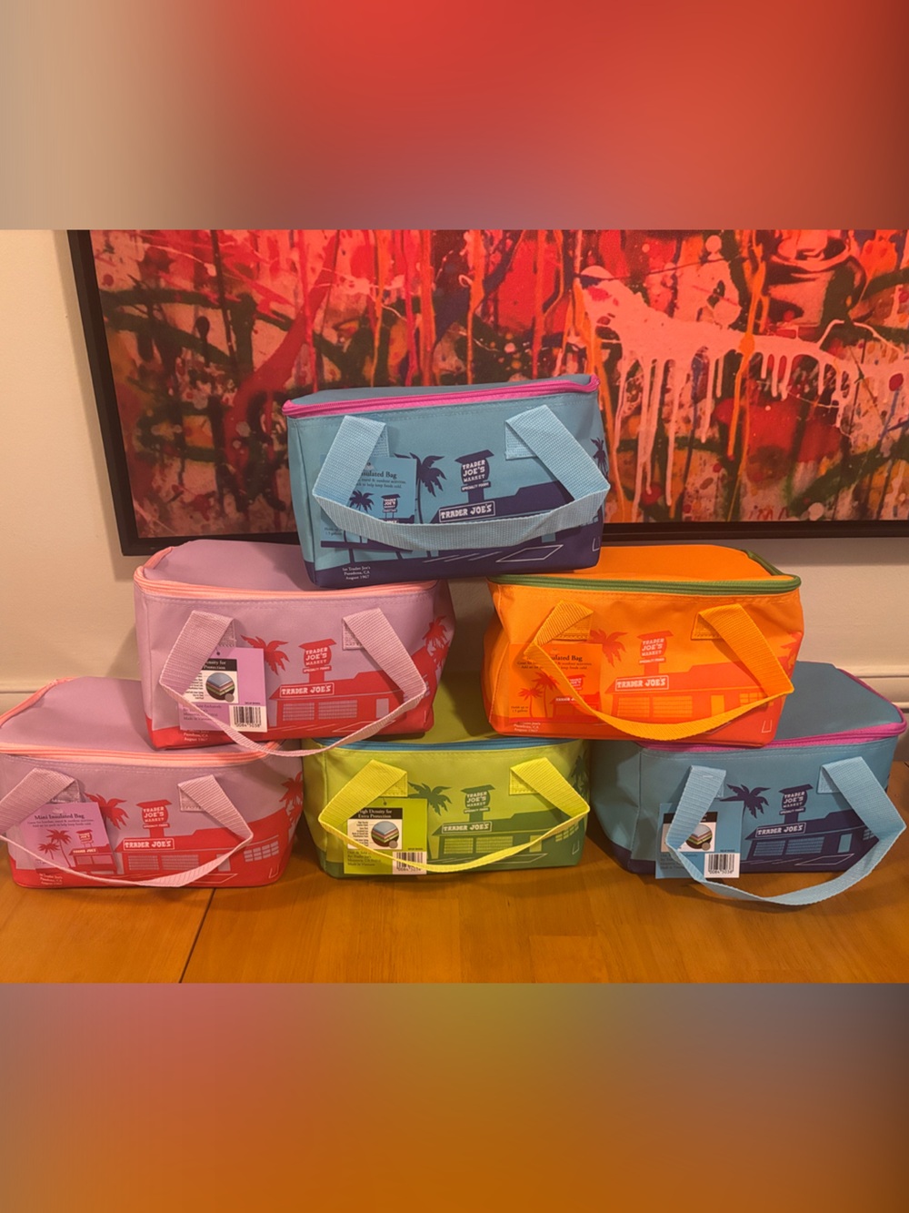 Trader Joe’s Mini Insulated  Lunch Totes